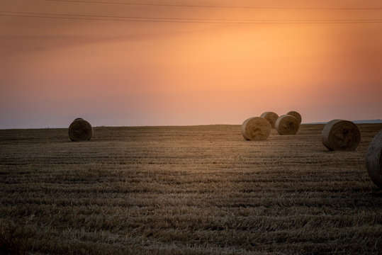 Beautiful view of a wheat field, full of characteristic bales. The shot is taken at sunrise during a summertime day Sicily, Italy