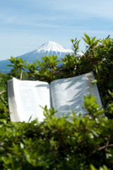 Open Bible with unfocused text outdoors in beautiful landscape with blue sky. Background with Mount Fuji with snow covered peak. Vertical shot.