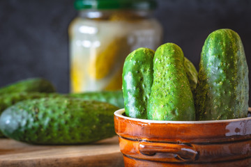 Fresh and pickled cucumbers with herbs and spices on dark background