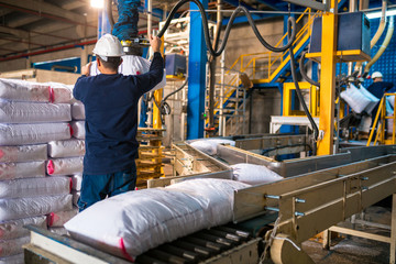 Worker loading Rows or stacks of white sack bags at large warehouse in modern factory. Packacing in...