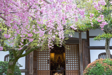 Fototapeta na wymiar 化野念仏寺　京都のお寺