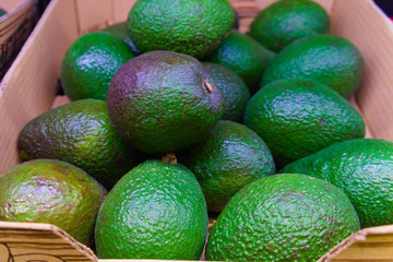a crate of ripe green avocados in the supermarket