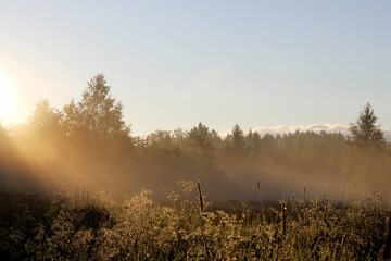 Солнце в тумане