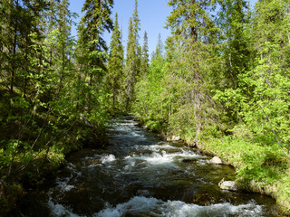 The rapids of the northern river in the taiga