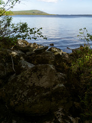 View of the northern lake from the taiga