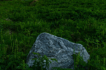 Big stone in the northern meadow