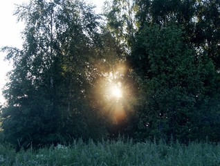 Утро в деревне