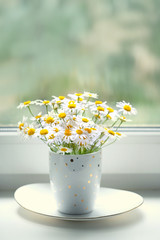 cute daisies in cup on windowsill, cozy rustic scene. summer season. chamomile flowers, gentle and pure nature. close up, copy space