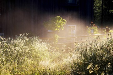 Деревня в тумане