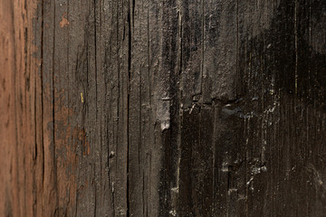 Telephone Pole Close Up Wood Texture with Tar