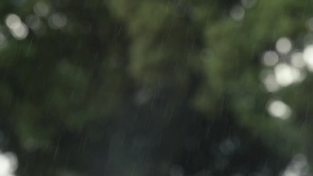 raindrops in the river