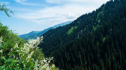 view of mountains