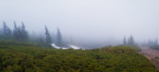 Panoramic view foggy morning in the Carpathian mountains with coniferous forest in the haze and little snow remaining through the hills