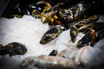fresh seafood within the fish market in Spain - octopus, shells, shrimps, fish, oysters, lobster 