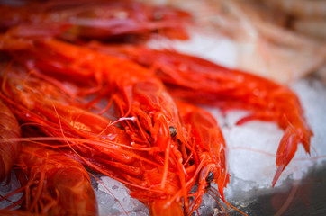 fresh seafood within the fish market in Spain - octopus, shells, shrimps, fish, oysters, lobster 