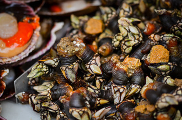 fresh seafood within the fish market in Spain - octopus, shells, shrimps, fish, oysters, lobster 