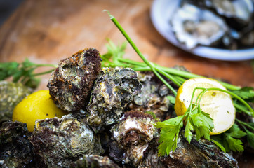 fresh seafood within the fish market in Spain - octopus, shells, shrimps, fish, oysters, lobster 