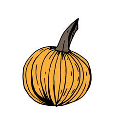 Small orange pumpkin with black outline on white background, hand drawn vector illustration.