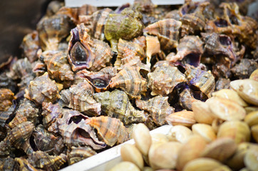 fresh seafood within the fish market in Spain - octopus, shells, shrimps, fish, oysters, lobster 