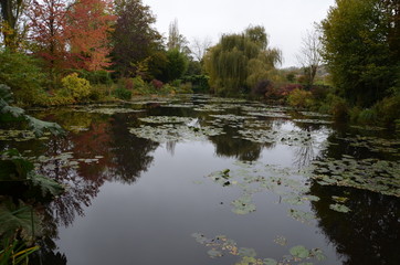 lake in the forest