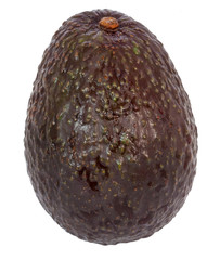 Isolated avocado, a large berry containing a single large seed.
