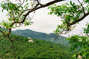 mountains and tree in Moscenicka Draga, Croatia