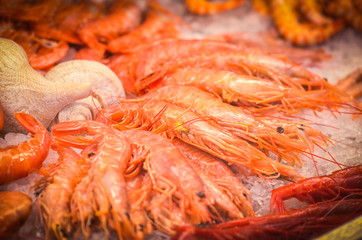 fresh seafood within the fish market in Spain - octopus, shells, shrimps, fish, oysters, lobster 