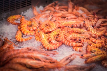 fresh seafood within the fish market in Spain - octopus, shells, shrimps, fish, oysters, lobster 