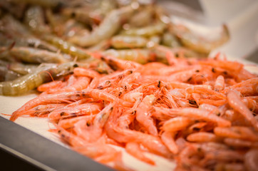 fresh seafood within the fish market in Spain - octopus, shells, shrimps, fish, oysters, lobster 