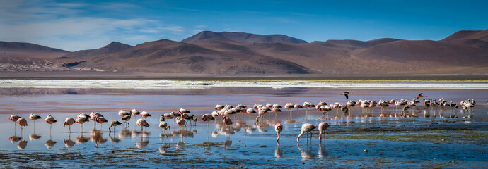 Fototapeta na wymiar Uyuni Salt Flats