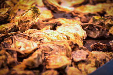 fresh seafood within the fish market in Spain - octopus, shells, shrimps, fish, oysters, lobster 