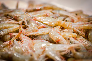 fresh seafood within the fish market in Spain - octopus, shells, shrimps, fish, oysters, lobster 