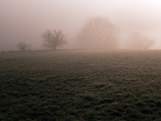 Fototapeta na wymiar Morgendämmerung im Nationalpark Kellerwald an der Edertalsperre. Es ist ein kalter und nebeliger Morgen.
