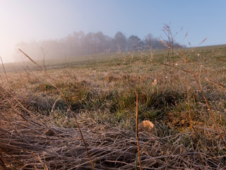 Morgendämmerung im Nationalpark Kellerwald an der Edertalsperre. Es ist ein kalter und nebeliger Morgen.