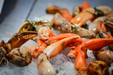 fresh seafood within the fish market in Spain - octopus, shells, shrimps, fish, oysters, lobster 