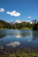 View of a small lake, green meadows in front of high mountains at blue sky in the Swiss Alps in the Davos / Kloster area.