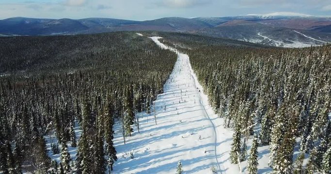 Aerial Exit: Snowmobiles Driving Down Snowy Hill Between Forests, Fairbanks, Alaska