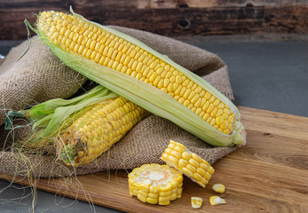 Sweet corn organic, fresh corn collected in wooden boxes .Maize harvest, maize production, organic agriculture, food production and vegetable growing.