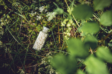 Jar with homeopathy granules lay on grass/moss outdoors in wild nature. Top view with copy space. 