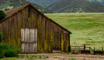 Obraz premium An old weathered moss covered barn stands on a hillside in Salinas Valley of Monterey County, in central California. 