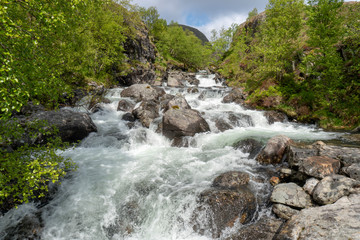 Beautiful stream of melted waterwith rocks and green bushes