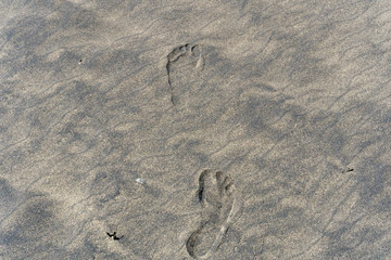 Fototapeta na wymiar Footsteps in the sand on the beach