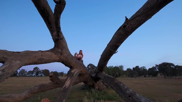 Dolly shot of a woman sitting on a fallen tree, at lake Huma, on a sunny evening dusk, at Hume Reservoir, New South Wales, Australia -  slow motion