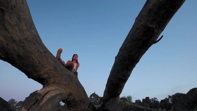 Dolly, slow motion shot away from a woman sitting on a huge, fallen tree, at lake Huma, on a sunny evening dusk, at Hume Reservoir, New South Wales, Australia