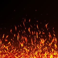 Fototapeta na wymiar Fire flames with sparks isolated on black background. Hot realistic fire texture for you design. Night camping bonfire. Glowing particles on a dark background. Vector illustration