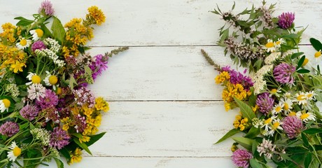 Medicinal plants on a white wooden background top view