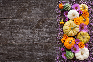 Colored pumpkins and flowers on a wooden background for the text, congratulations
