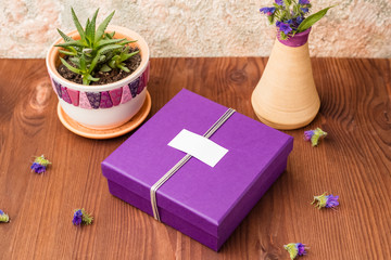 Gift box with a blank tag and a pot with a home plant on a wooden table with small flowers. Womans day, 8 march, wedding, dating, love concept