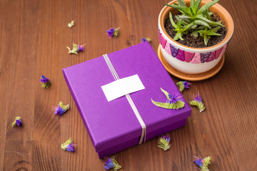 Obraz na płótnie Canvas Purple gift box with a clean tag and a pot with a house plant on a wooden table with small flowers. Womans day, 8 march, wedding, dating, love concept. Copy space