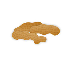 Vector peanuts in realistic style on white background for template label, packaging snack and emblem farmer market design.
